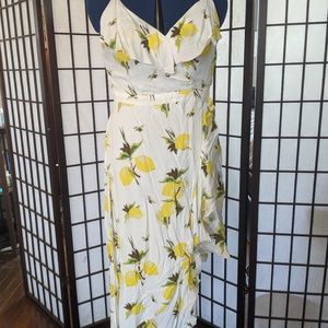 Slate and Willow Lemon Print Dress